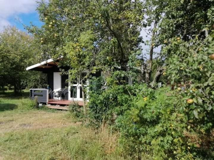 Kiszkowianka Domki Skrzeszewo  Luaran gambar